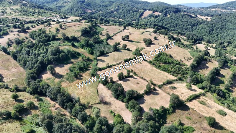 3.000 m2 Yatırımlık Tarla Bağ-Bahçe Resmi Kadastro Yolu Yoktur.