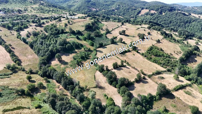 3.000 m2 Yatırımlık Tarla Bağ-Bahçe Resmi Kadastro Yolu Yoktur.