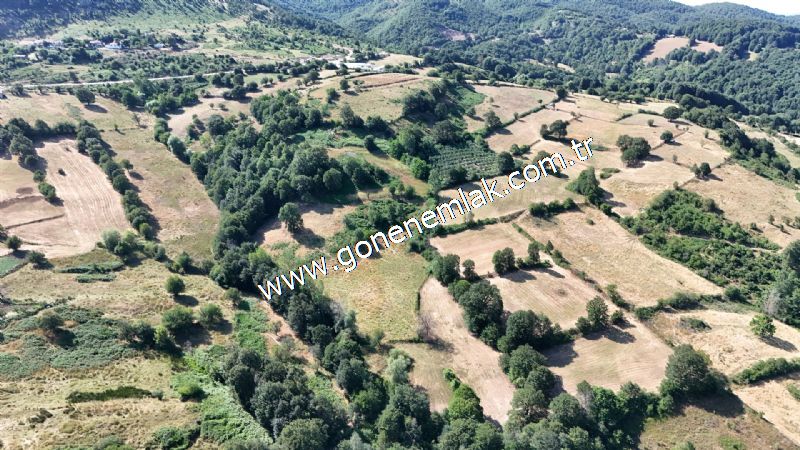3.000 m2 Yatırımlık Tarla Bağ-Bahçe Resmi Kadastro Yolu Yoktur.