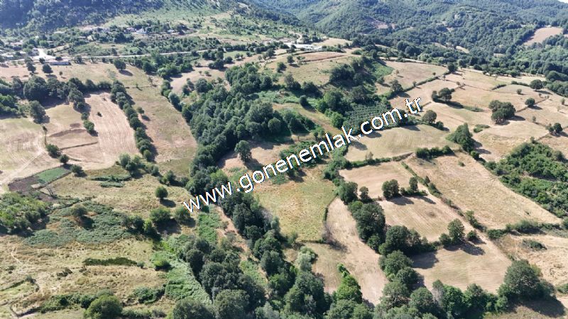 3.000 m2 Yatırımlık Tarla Bağ-Bahçe Resmi Kadastro Yolu Yoktur.