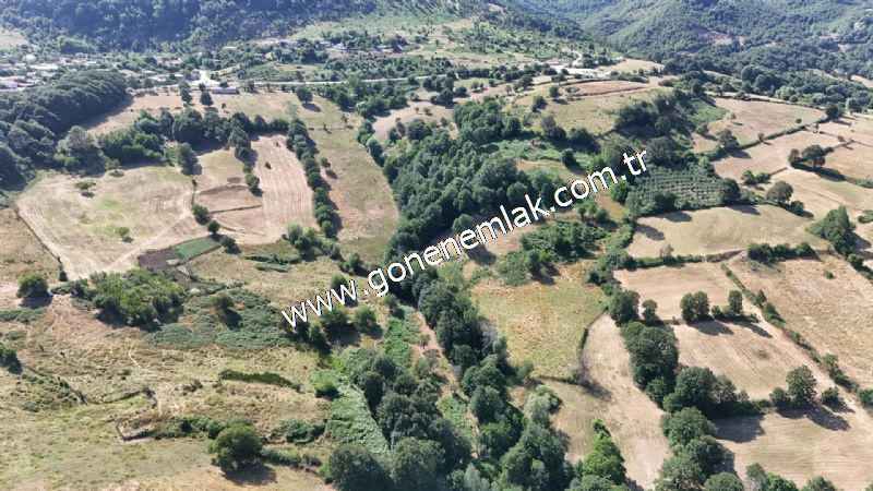 3.000 m2 Yatırımlık Tarla Bağ-Bahçe Resmi Kadastro Yolu Yoktur.