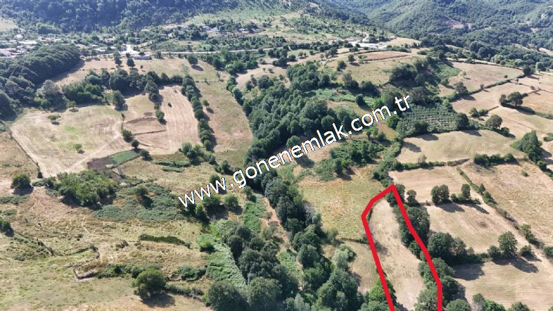 3.000 m2 Yatırımlık Tarla Bağ-Bahçe Resmi Kadastro Yolu Yoktur.