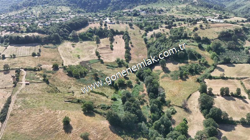 3.000 m2 Yatırımlık Tarla Bağ-Bahçe Resmi Kadastro Yolu Yoktur.