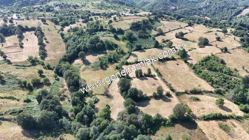 3.000 m2 Yatırımlık Tarla Bağ-Bahçe Resmi Kadastro Yolu Yoktur.