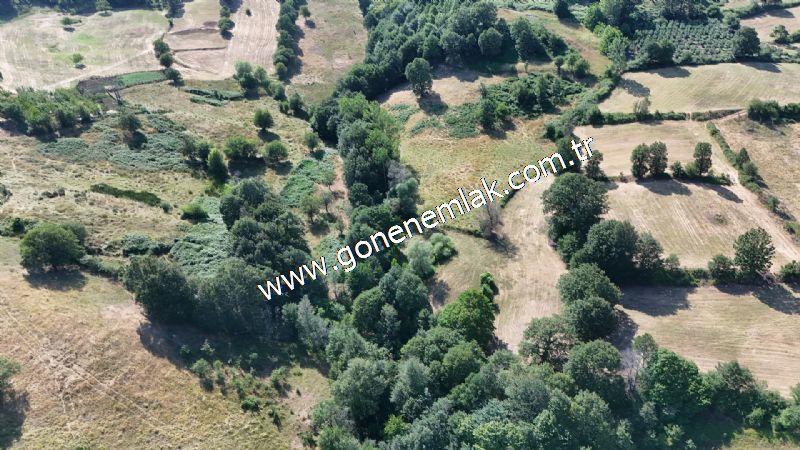 3.000 m2 Yatırımlık Tarla Bağ-Bahçe Resmi Kadastro Yolu Yoktur.