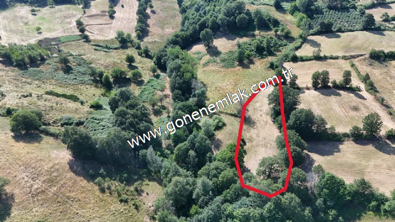 3.000 m2 Yatırımlık Tarla Bağ-Bahçe Resmi Kadastro Yolu Yoktur.