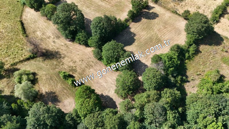 3.000 m2 Yatırımlık Tarla Bağ-Bahçe Resmi Kadastro Yolu Yoktur.