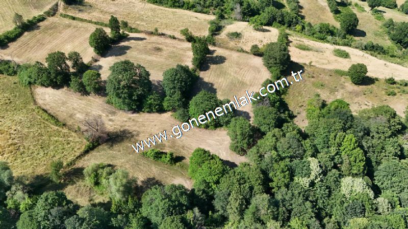 3.000 m2 Yatırımlık Tarla Bağ-Bahçe Resmi Kadastro Yolu Yoktur.