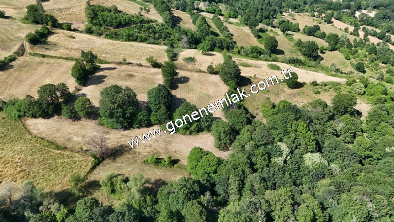 3.000 m2 Yatırımlık Tarla Bağ-Bahçe Resmi Kadastro Yolu Yoktur.