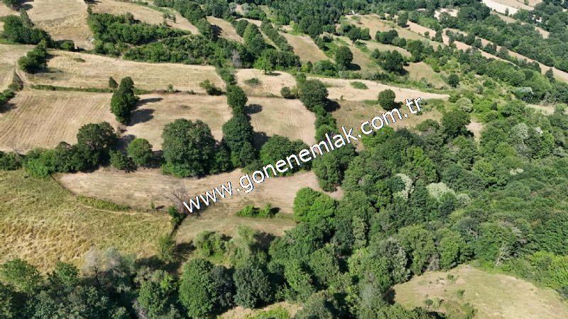 3.000 m2 Yatırımlık Tarla Bağ-Bahçe Resmi Kadastro Yolu Yoktur.