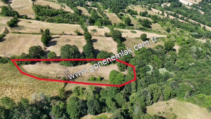 3.000 m2 Yatırımlık Tarla Bağ-Bahçe Resmi Kadastro Yolu Yoktur.