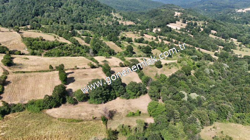 3.000 m2 Yatırımlık Tarla Bağ-Bahçe Resmi Kadastro Yolu Yoktur.