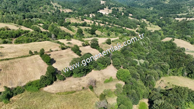 3.000 m2 Yatırımlık Tarla Bağ-Bahçe Resmi Kadastro Yolu Yoktur.