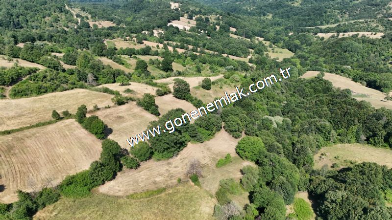 3.000 m2 Yatırımlık Tarla Bağ-Bahçe Resmi Kadastro Yolu Yoktur.