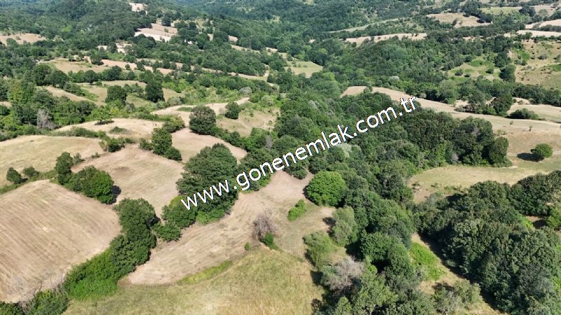 3.000 m2 Yatırımlık Tarla Bağ-Bahçe Resmi Kadastro Yolu Yoktur.