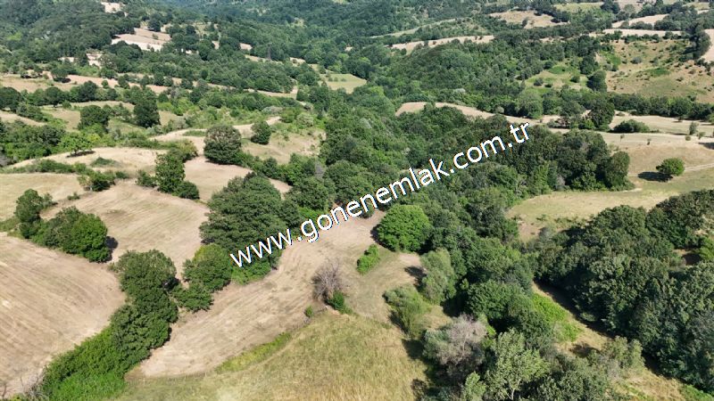 3.000 m2 Yatırımlık Tarla Bağ-Bahçe Resmi Kadastro Yolu Yoktur.