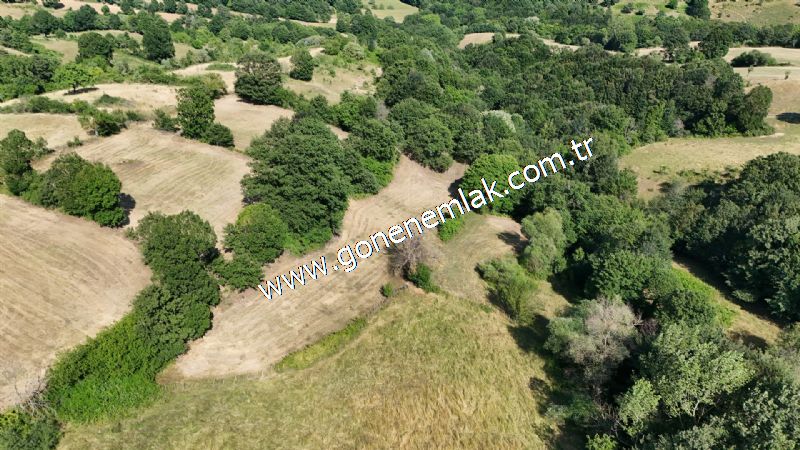 3.000 m2 Yatırımlık Tarla Bağ-Bahçe Resmi Kadastro Yolu Yoktur.