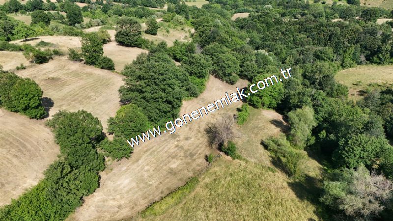 3.000 m2 Yatırımlık Tarla Bağ-Bahçe Resmi Kadastro Yolu Yoktur.