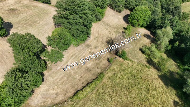 3.000 m2 Yatırımlık Tarla Bağ-Bahçe Resmi Kadastro Yolu Yoktur.