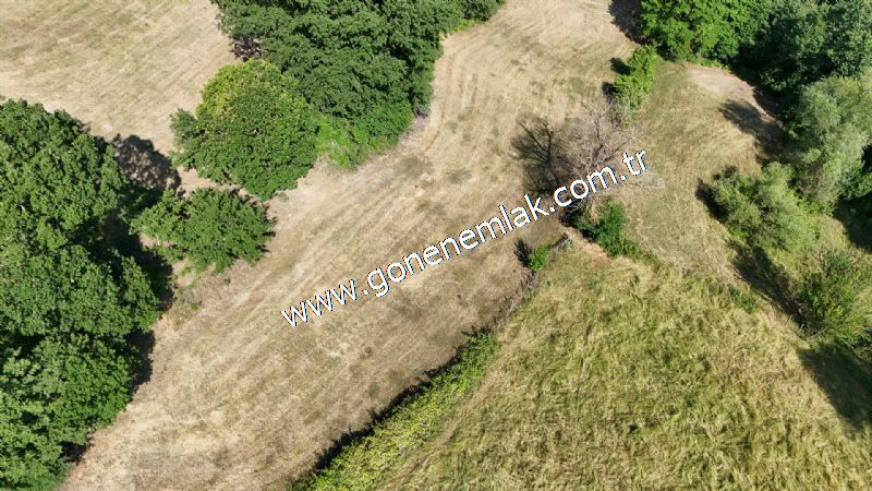 3.000 m2 Yatırımlık Tarla Bağ-Bahçe Resmi Kadastro Yolu Yoktur.