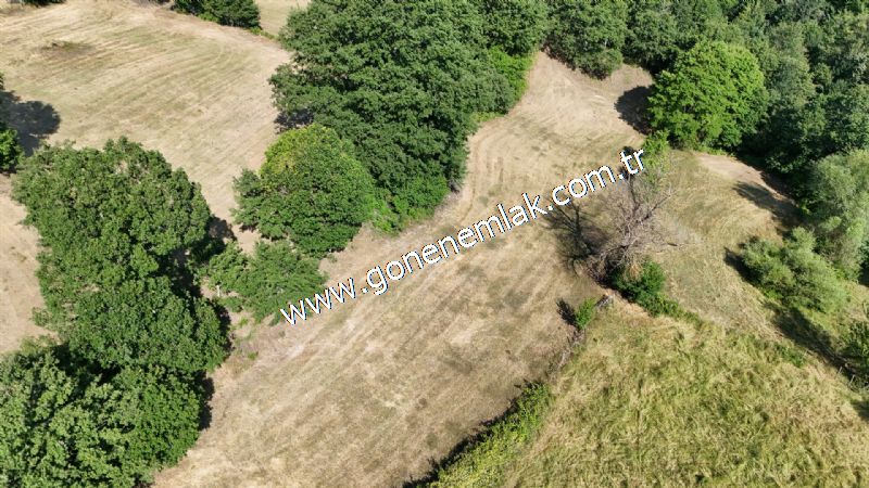 3.000 m2 Yatırımlık Tarla Bağ-Bahçe Resmi Kadastro Yolu Yoktur.