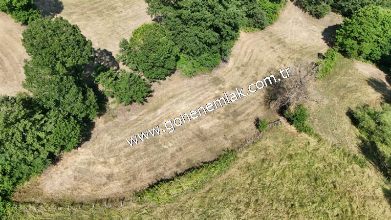 3.000 m2 Yatırımlık Tarla Bağ-Bahçe Resmi Kadastro Yolu Yoktur.