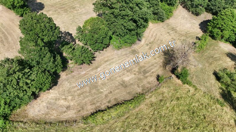 3.000 m2 Yatırımlık Tarla Bağ-Bahçe Resmi Kadastro Yolu Yoktur.