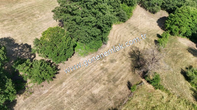 3.000 m2 Yatırımlık Tarla Bağ-Bahçe Resmi Kadastro Yolu Yoktur.