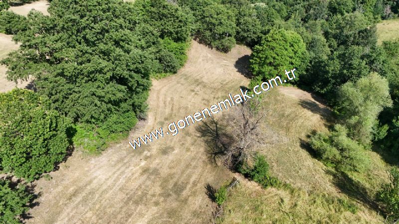 3.000 m2 Yatırımlık Tarla Bağ-Bahçe Resmi Kadastro Yolu Yoktur.