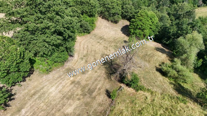 3.000 m2 Yatırımlık Tarla Bağ-Bahçe Resmi Kadastro Yolu Yoktur.