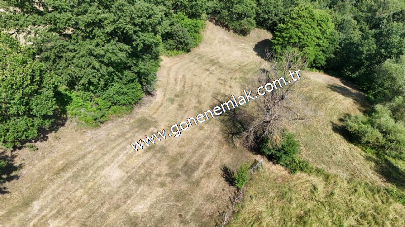 3.000 m2 Yatırımlık Tarla Bağ-Bahçe Resmi Kadastro Yolu Yoktur.