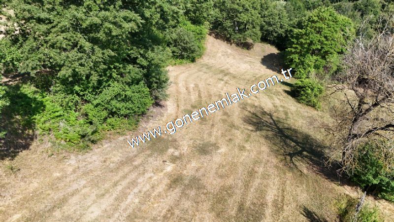 3.000 m2 Yatırımlık Tarla Bağ-Bahçe Resmi Kadastro Yolu Yoktur.