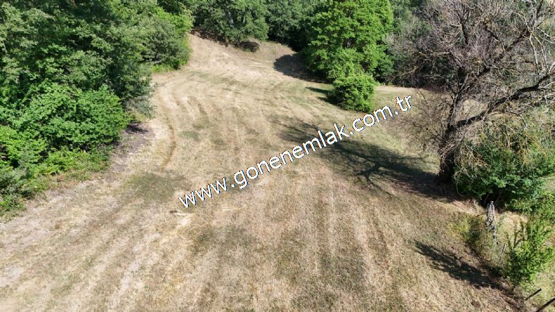 3.000 m2 Yatırımlık Tarla Bağ-Bahçe Resmi Kadastro Yolu Yoktur.
