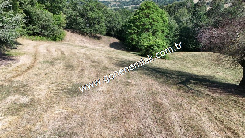 3.000 m2 Yatırımlık Tarla Bağ-Bahçe Resmi Kadastro Yolu Yoktur.