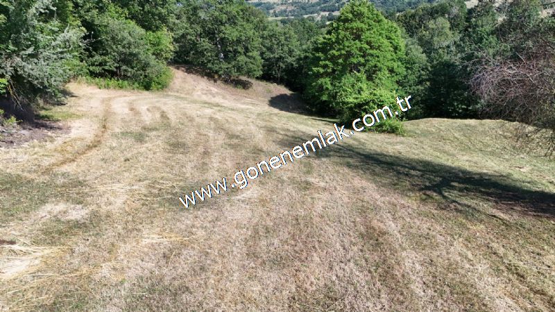 3.000 m2 Yatırımlık Tarla Bağ-Bahçe Resmi Kadastro Yolu Yoktur.