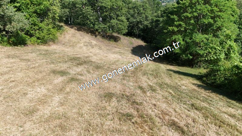 3.000 m2 Yatırımlık Tarla Bağ-Bahçe Resmi Kadastro Yolu Yoktur.