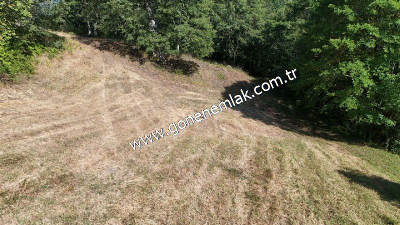 3.000 m2 Yatırımlık Tarla Bağ-Bahçe Resmi Kadastro Yolu Yoktur.