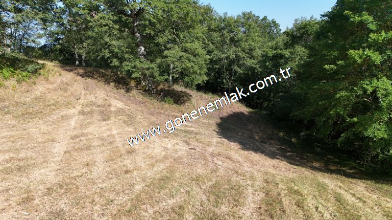 3.000 m2 Yatırımlık Tarla Bağ-Bahçe Resmi Kadastro Yolu Yoktur.