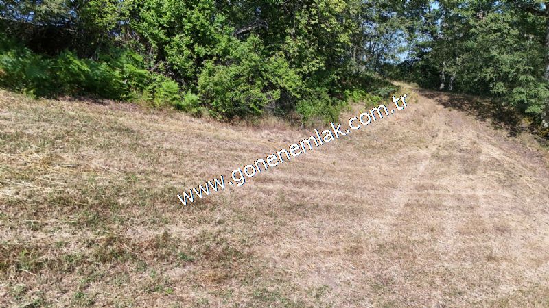 3.000 m2 Yatırımlık Tarla Bağ-Bahçe Resmi Kadastro Yolu Yoktur.