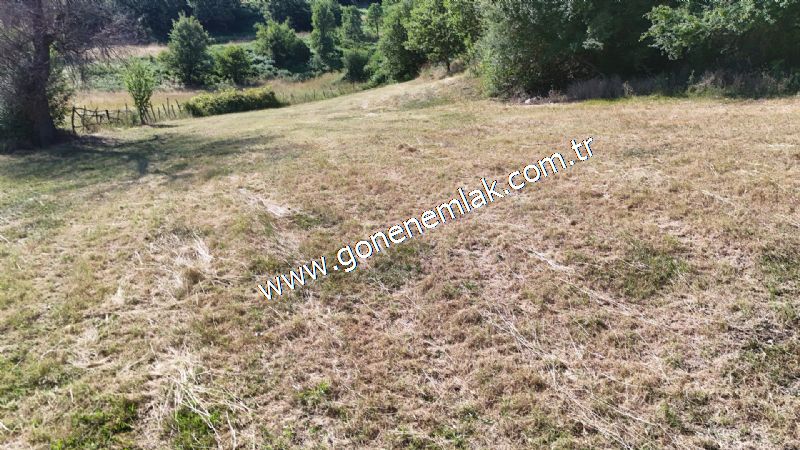 3.000 m2 Yatırımlık Tarla Bağ-Bahçe Resmi Kadastro Yolu Yoktur.