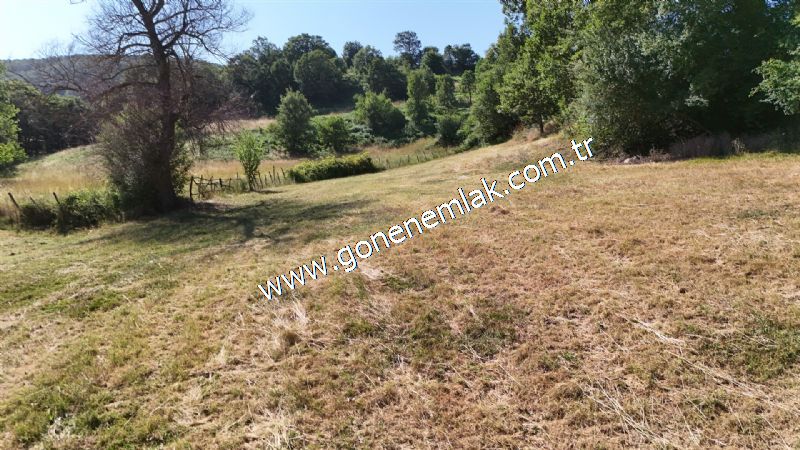 3.000 m2 Yatırımlık Tarla Bağ-Bahçe Resmi Kadastro Yolu Yoktur.