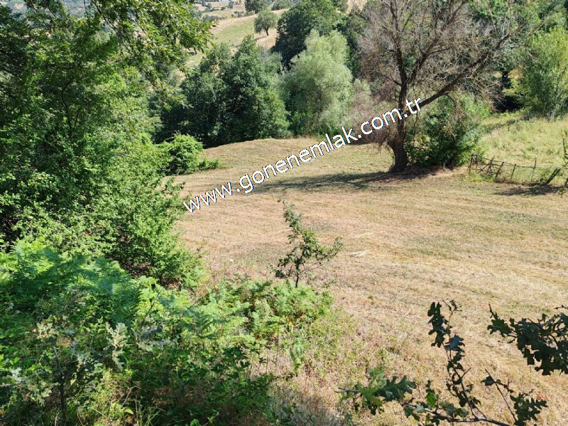 3.000 m2 Yatırımlık Tarla Bağ-Bahçe Resmi Kadastro Yolu Yoktur.