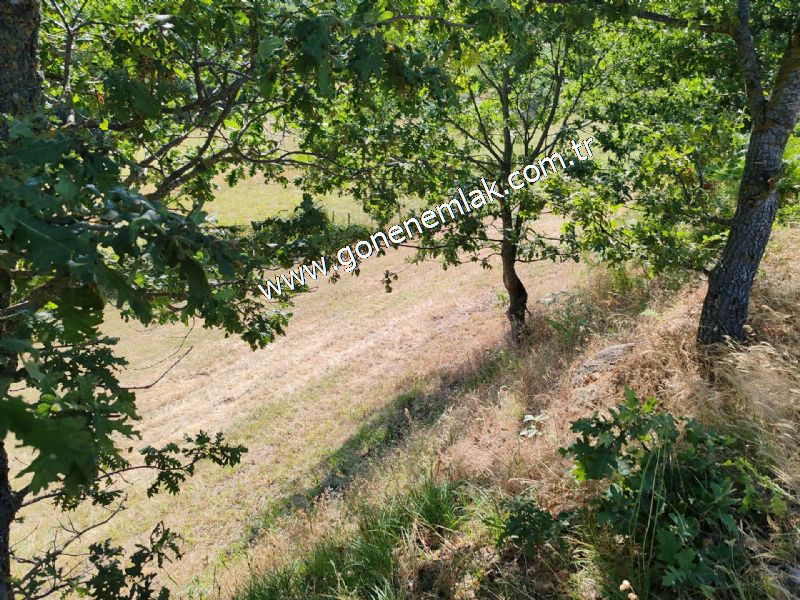 3.000 m2 Yatırımlık Tarla Bağ-Bahçe Resmi Kadastro Yolu Yoktur.