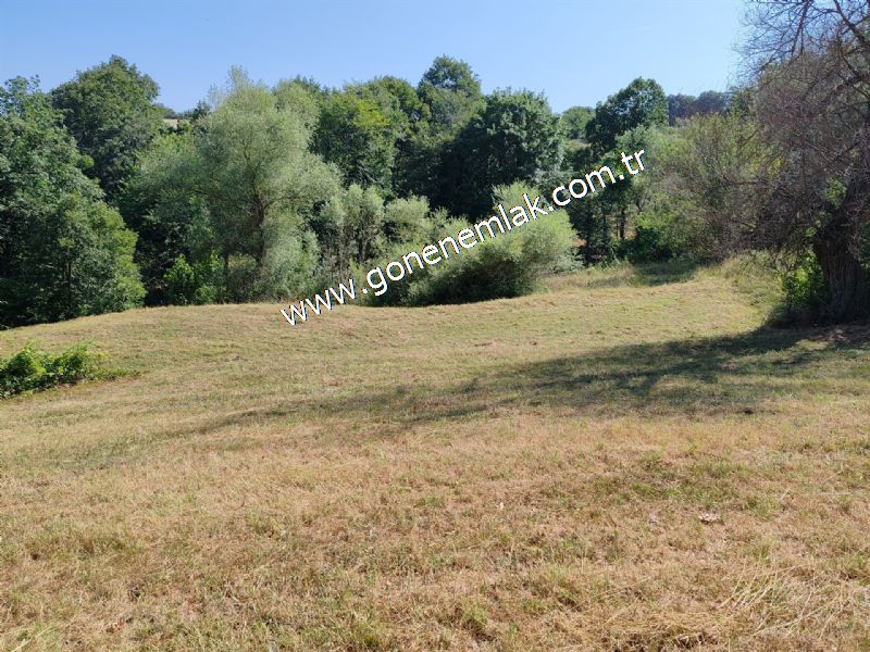 3.000 m2 Yatırımlık Tarla Bağ-Bahçe Resmi Kadastro Yolu Yoktur.