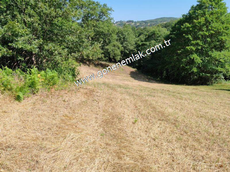 3.000 m2 Yatırımlık Tarla Bağ-Bahçe Resmi Kadastro Yolu Yoktur.