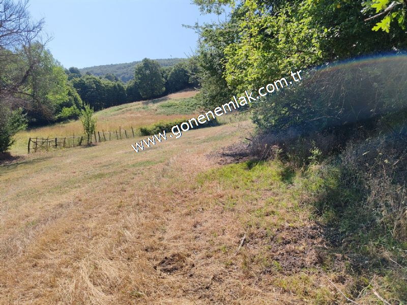 3.000 m2 Yatırımlık Tarla Bağ-Bahçe Resmi Kadastro Yolu Yoktur.