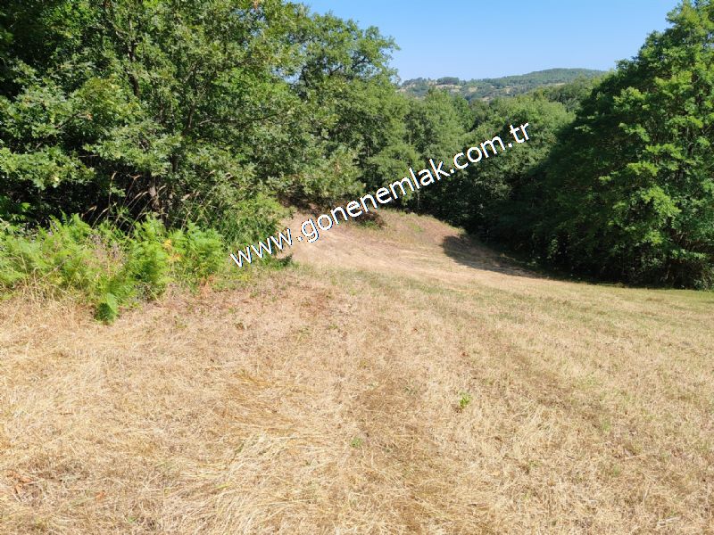 3.000 m2 Yatırımlık Tarla Bağ-Bahçe Resmi Kadastro Yolu Yoktur.