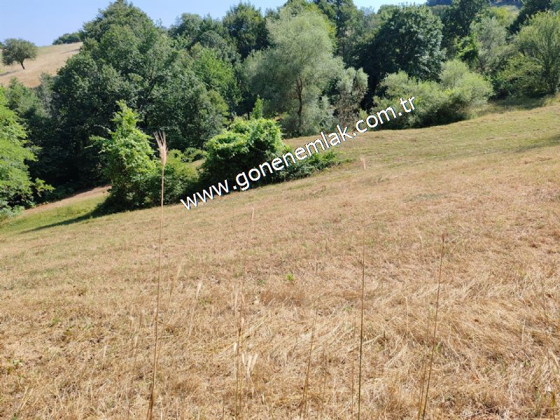 3.000 m2 Yatırımlık Tarla Bağ-Bahçe Resmi Kadastro Yolu Yoktur.