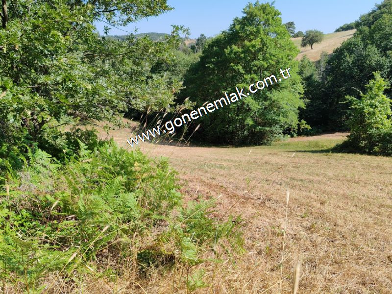 3.000 m2 Yatırımlık Tarla Bağ-Bahçe Resmi Kadastro Yolu Yoktur.