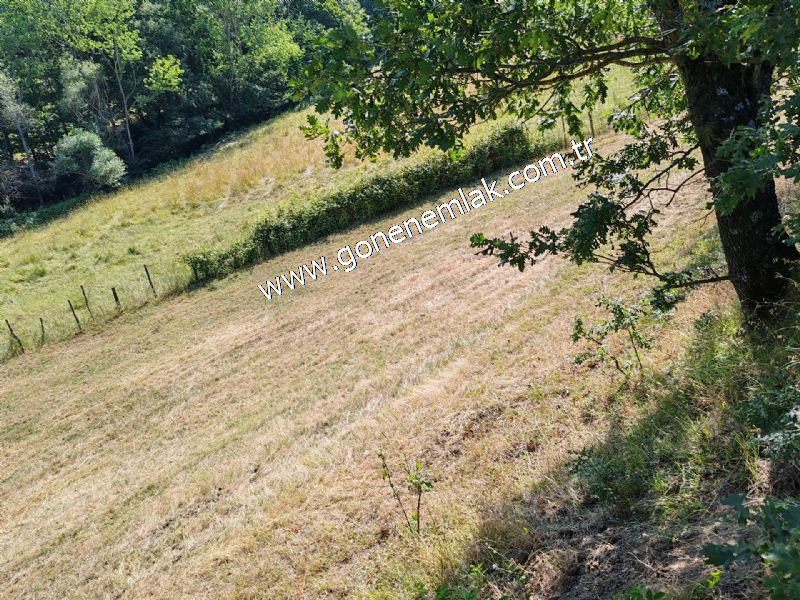 3.000 m2 Yatırımlık Tarla Bağ-Bahçe Resmi Kadastro Yolu Yoktur.